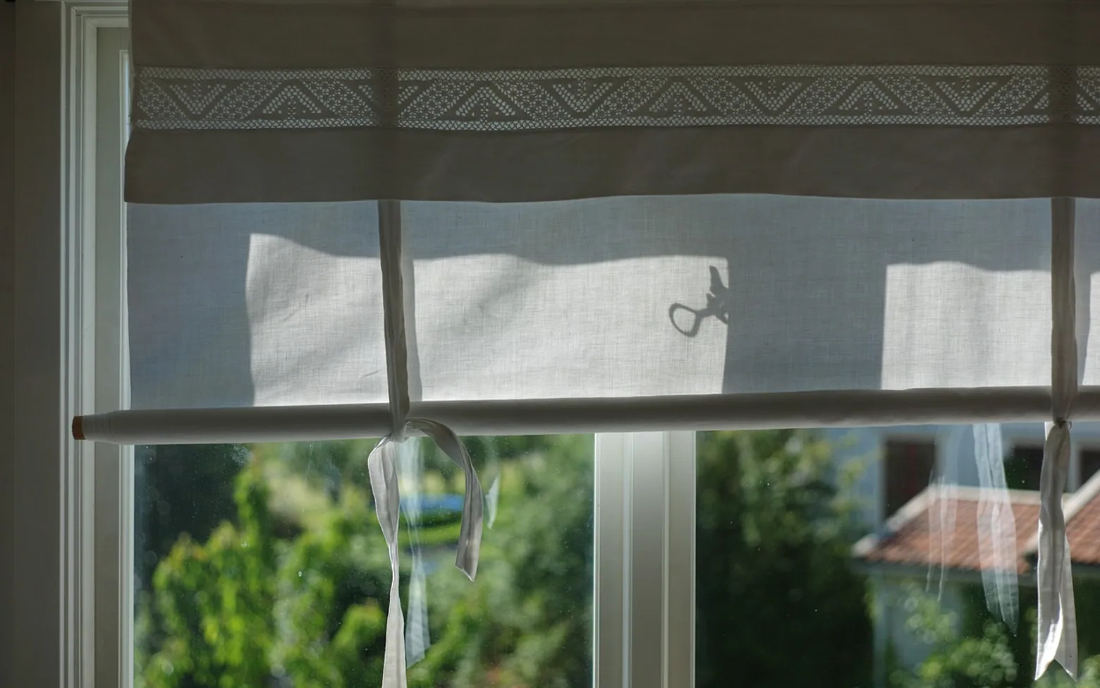 Window, curtain and windows
